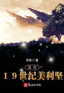 混在19世纪美利坚